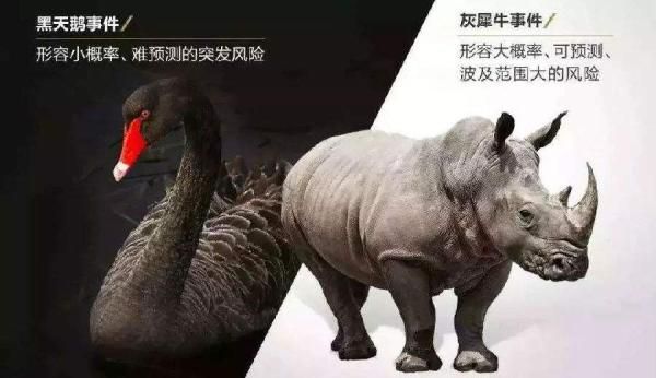 黑天鵝與灰犀牛事件簡略特點